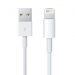 کابل اصلی لایتنینگ Apple Lightning to USB Cable 1m